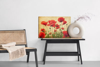 Ljuddämpande tavla - Vintage wild poppies
