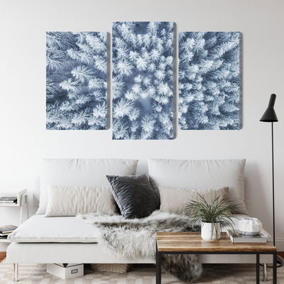 Ljuddämpande tavla - Aerial view of the winter