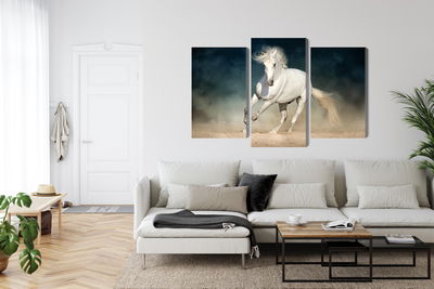 Ljuddämpande tavla - A white horse at a gallop