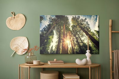 Ljuddämpande tavla - Sunrise forest