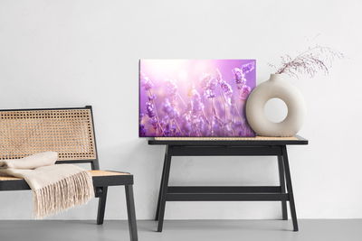 Ljuddämpande tavla - Lavender flowers in the sun