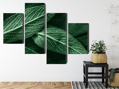 Ljuddämpande tavla - Salvia leaves on a macro