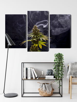 Ljuddämpande tavla - Cannabis plant on a smoky