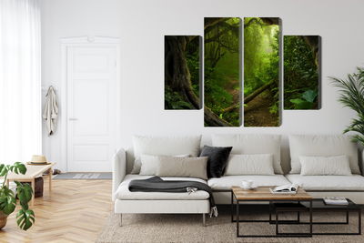 Ljuddämpande tavla - Path in a tropical forest