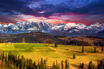 Ljuddämpande tavla - Landscape with the polish
