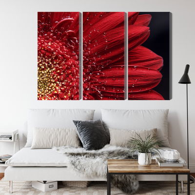 Ljuddämpande tavla - Flower petals on a macro