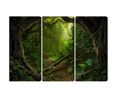 Ljuddämpande tavla - Path in a tropical forest