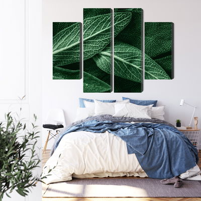 Ljuddämpande tavla - Salvia leaves on a macro