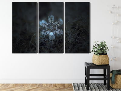 Ljuddämpande tavla - Snow flake in 3d macro scale