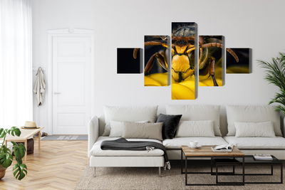 Ljuddämpande tavla - Wasp on a macro scale