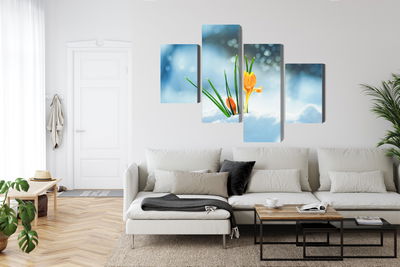 Ljuddämpande tavla - Yellow crocuses breaking