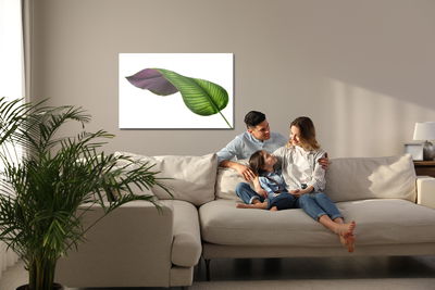 Ljuddämpande tavla - Calathea leaf