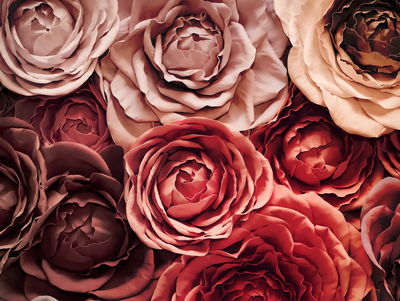 Ljuddämpande tavla - Colorful flowers close up 3d