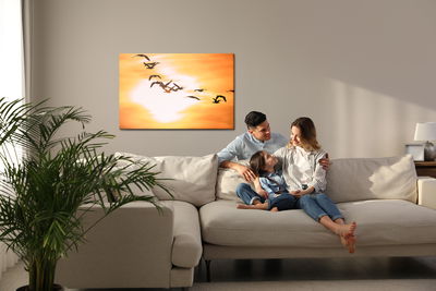 Ljuddämpande tavla - Cormorants birds