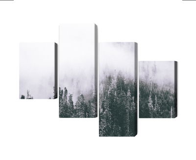 Ljuddämpande tavla - A forest shrouded in fog