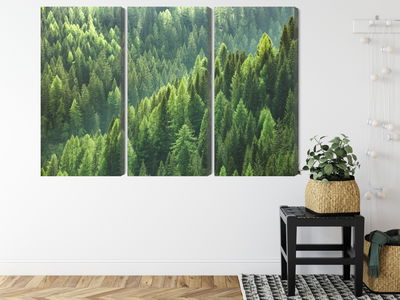 Ljuddämpande tavla - The green of the forest