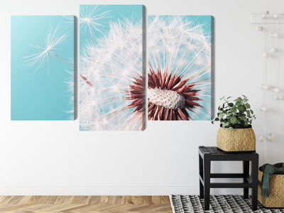 Ljuddämpande tavla - Dandelion flower on a macro