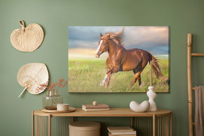 Ljuddämpande tavla - Galloping horse