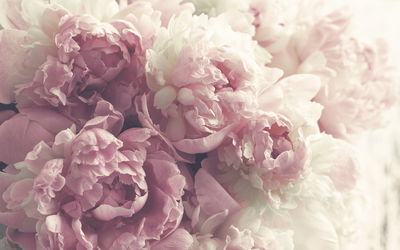 Ljuddämpande tavla - Peonies in shades of pink