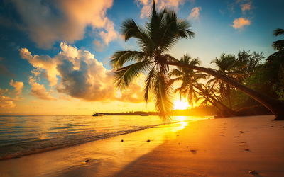 Ljuddämpande tavla - Tropical beach in punta