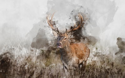 Ljuddämpande tavla - A deer painted with 3d