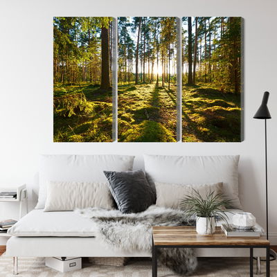 Ljuddämpande tavla - Forest landscape with sunset