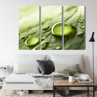 Ljuddämpande tavla - Water drops on a leaf