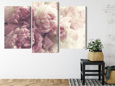 Ljuddämpande tavla - Peonies in shades of pink
