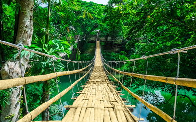 Ljuddämpande tavla - Bamboo bridge in the rain