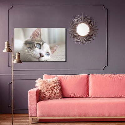 Ljuddämpande tavla - Dreamy kitten
