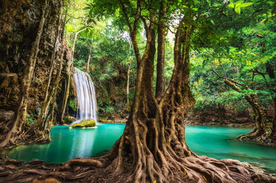 Ljuddämpande tavla - Erawan waterfalls