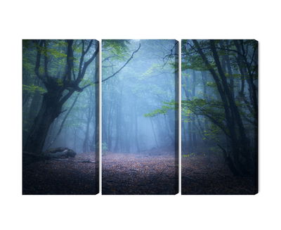 Ljuddämpande tavla - Hazy 3d forest landscape