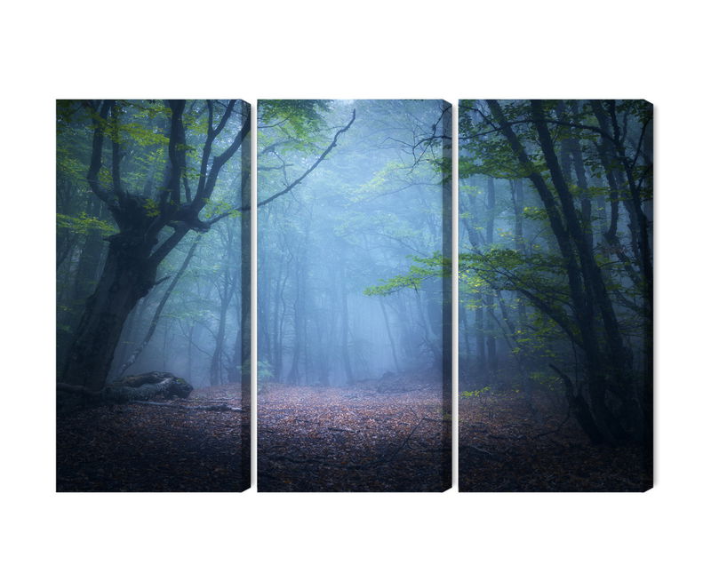 Ljuddämpande tavla - Hazy 3d forest landscape