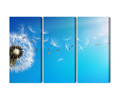 Ljuddämpande tavla - Dandelion with flying seeds