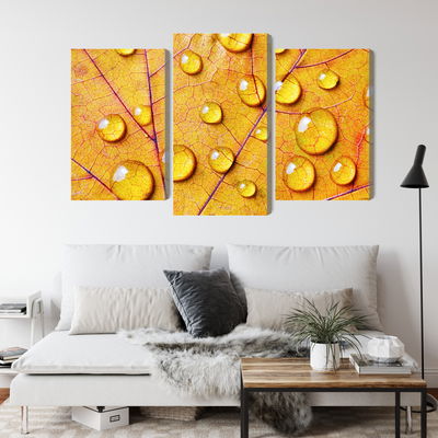 Ljuddämpande tavla - Water drops on an autumn