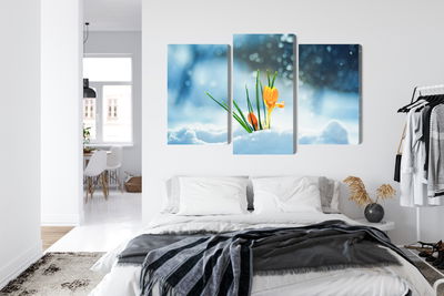 Ljuddämpande tavla - Yellow crocuses breaking