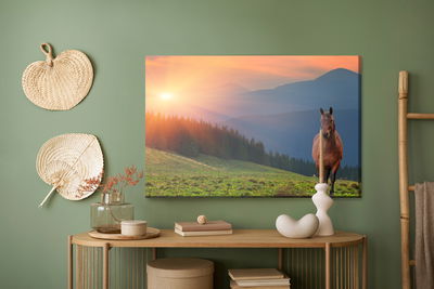 Ljuddämpande tavla - Horse on the background