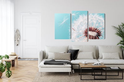 Ljuddämpande tavla - Dandelion flower on a macro