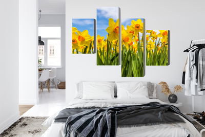 Ljuddämpande tavla - Daffodil field 3d