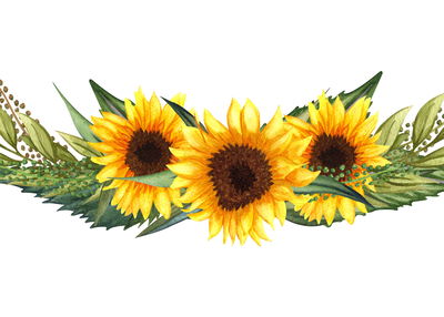 Ljuddämpande tavla - Sunflowers with green leaves