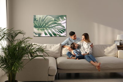 Ljuddämpande tavla - Monstera leaf close up