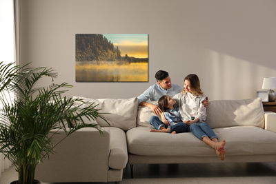 Ljuddämpande tavla - Winter country