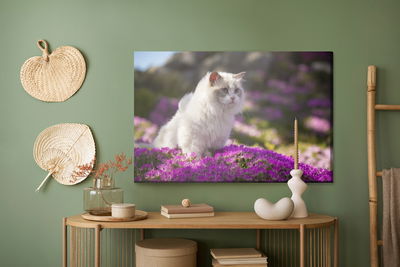 Ljuddämpande tavla - Ragdoll cat among flowers