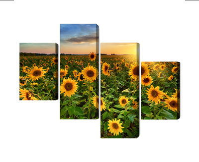 Ljuddämpande tavla - Sunflower field at sunset 3d