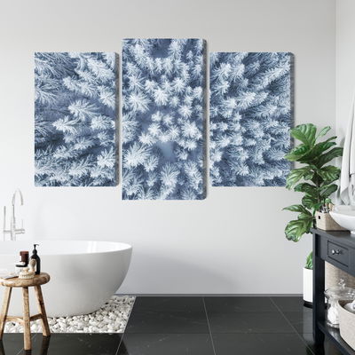 Ljuddämpande tavla - Aerial view of the winter