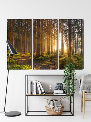 Ljuddämpande tavla - Sunset in the forest