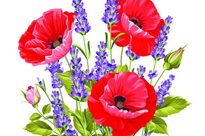 Ljuddämpande tavla - Bouquet of poppies