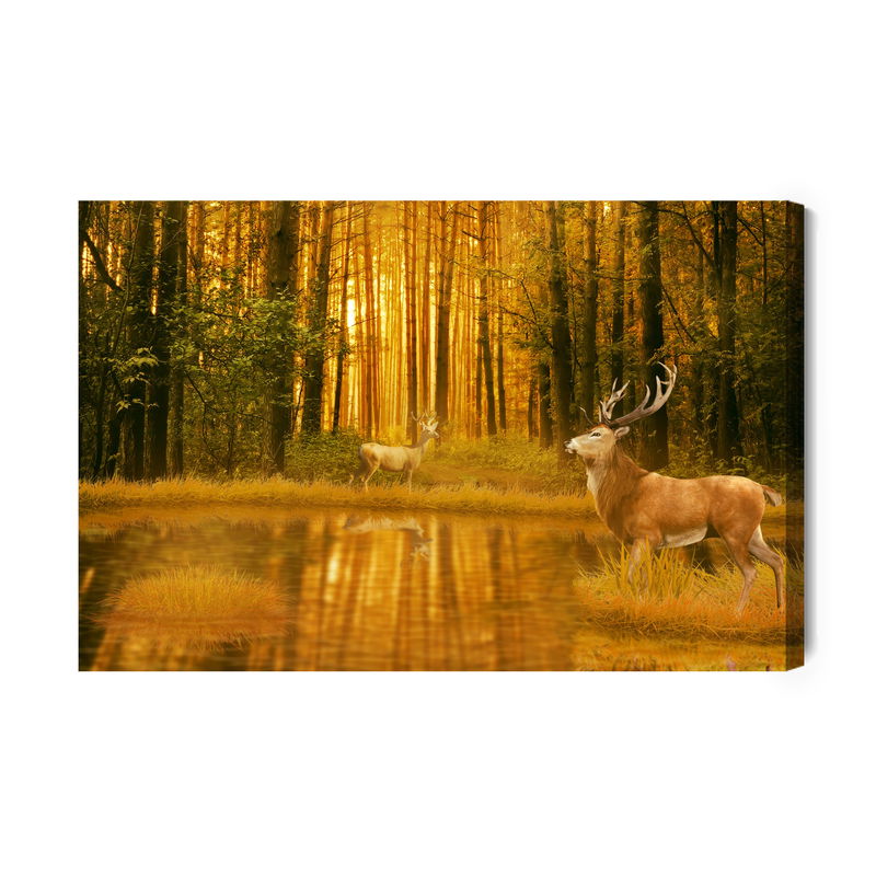 Ljuddämpande tavla - A deer by the lake