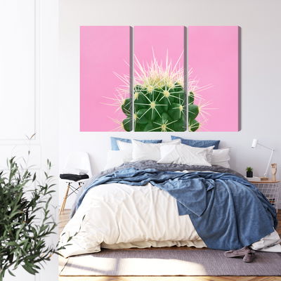 Ljuddämpande tavla - Cactus on a pink background