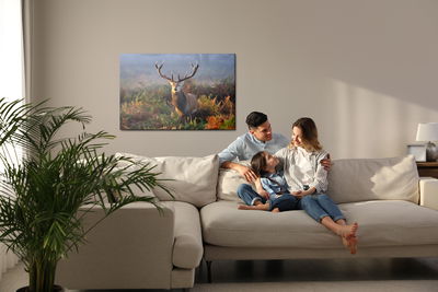 Ljuddämpande tavla - An impressive deer among